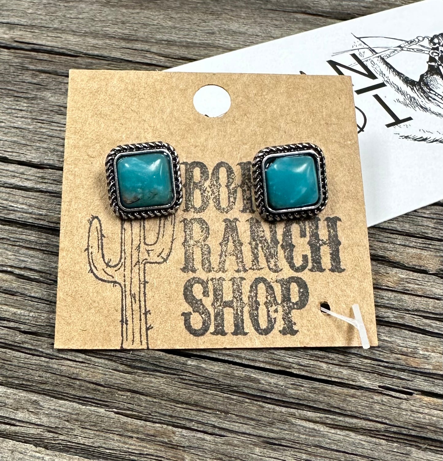 Western Mini Stone Stud Earrings